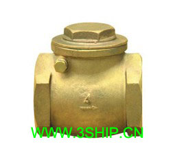 Swing Check Valve